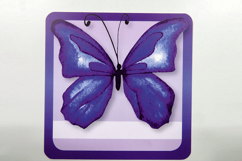 The Butterfly Project